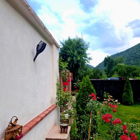 Hotel Renate House Băile Herculane Esterno foto