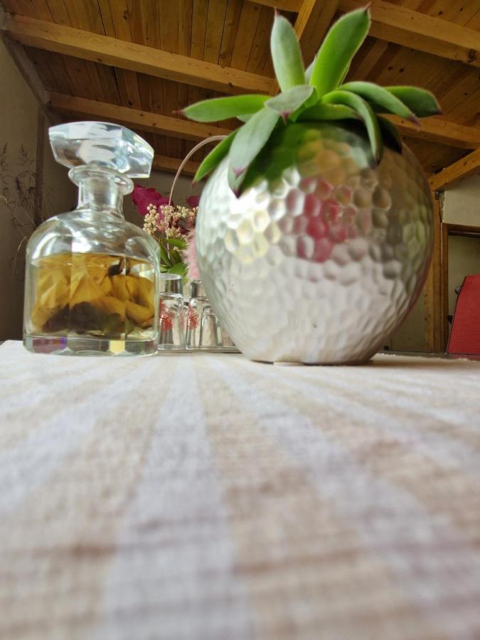 Hotel Renate House Băile Herculane Esterno foto