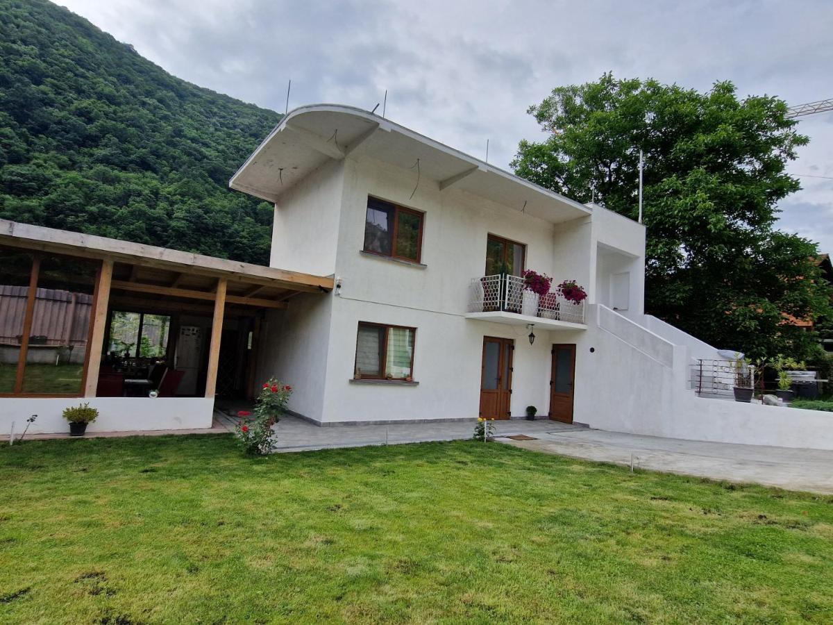 Hotel Renate House Băile Herculane Esterno foto