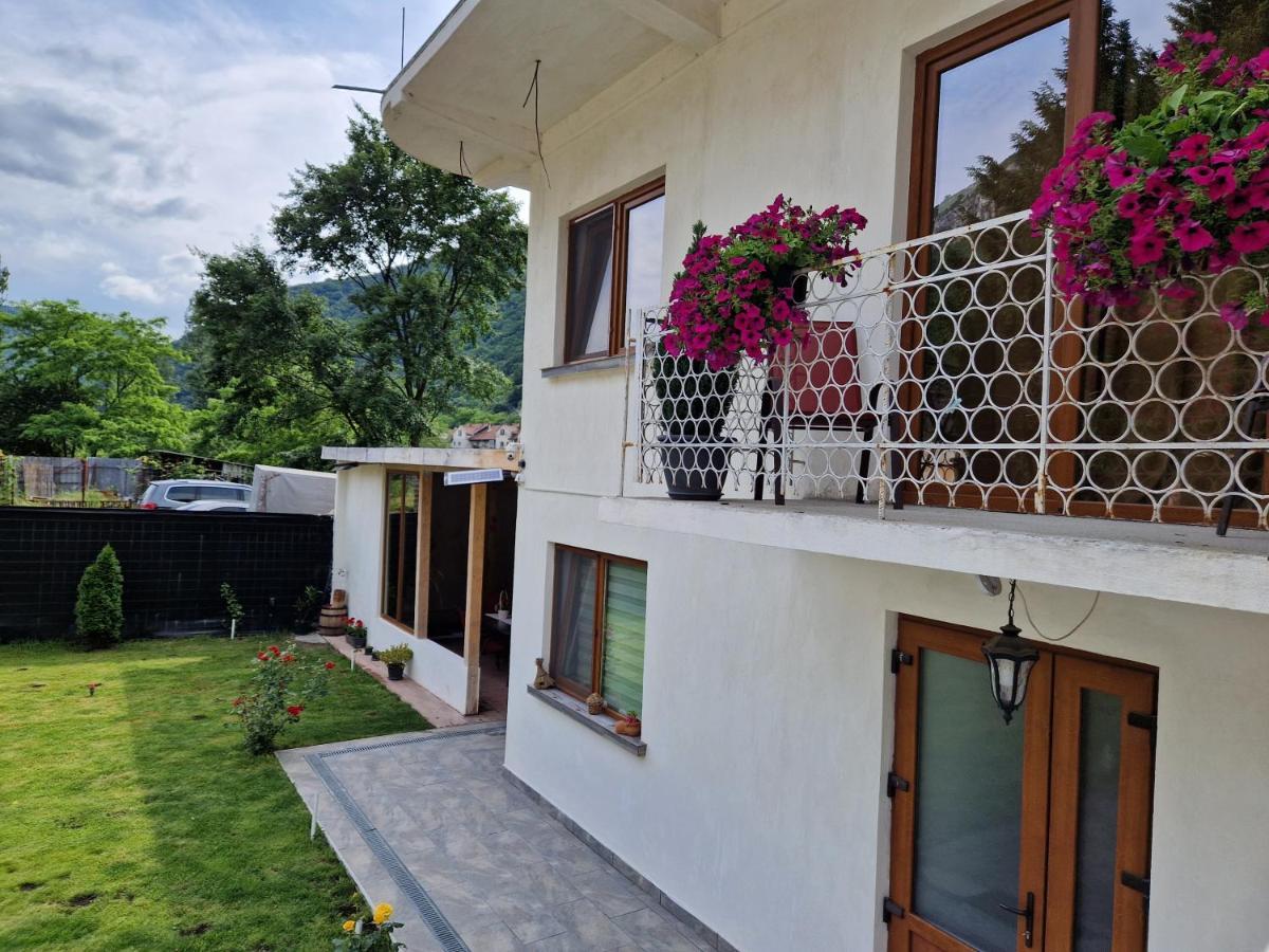 Hotel Renate House Băile Herculane Esterno foto