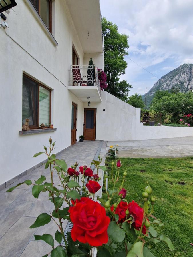 Hotel Renate House Băile Herculane Esterno foto