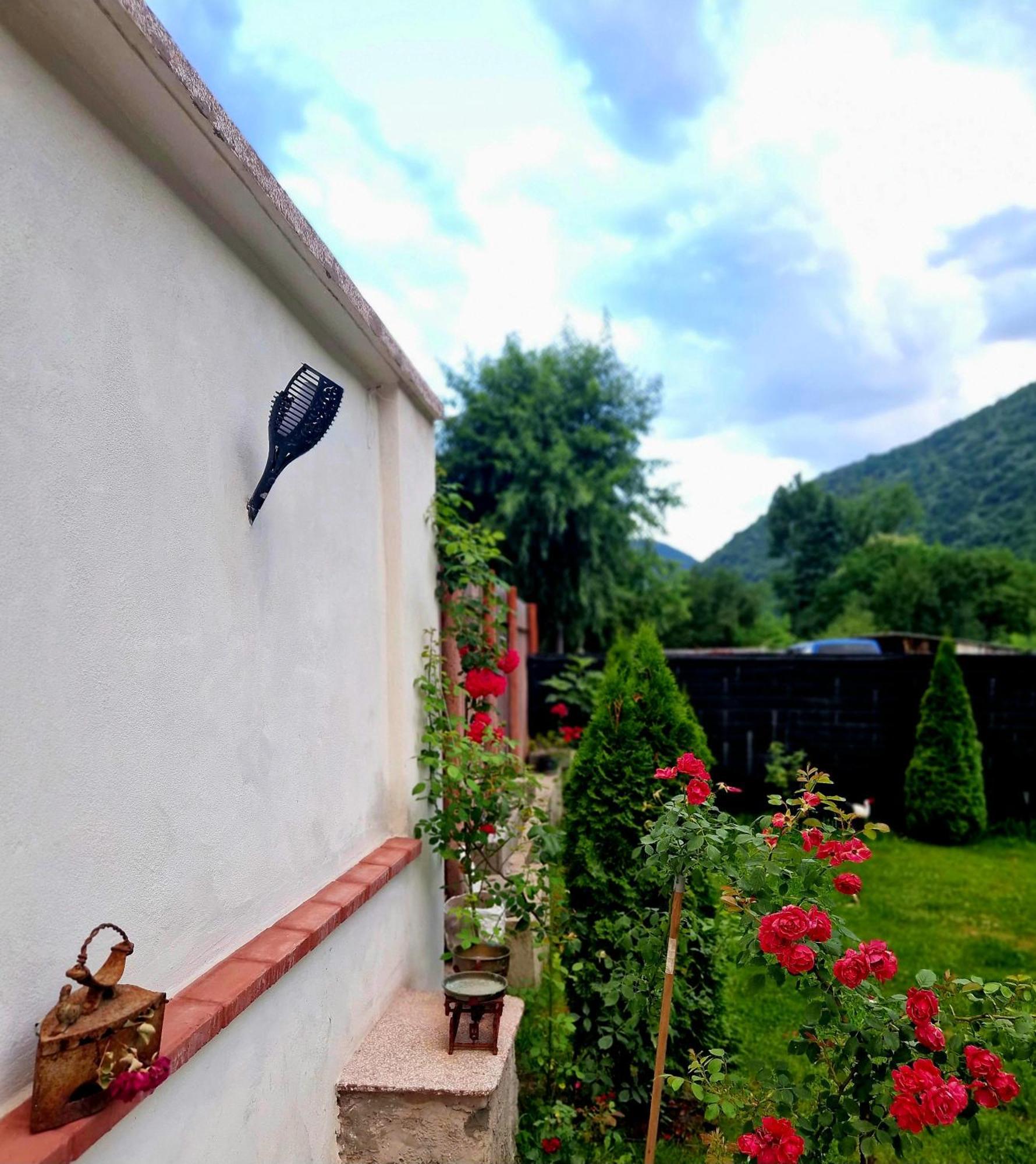 Hotel Renate House Băile Herculane Esterno foto